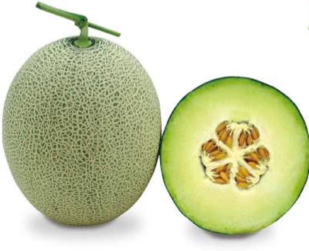 Green muskmelon Fruit Seeds